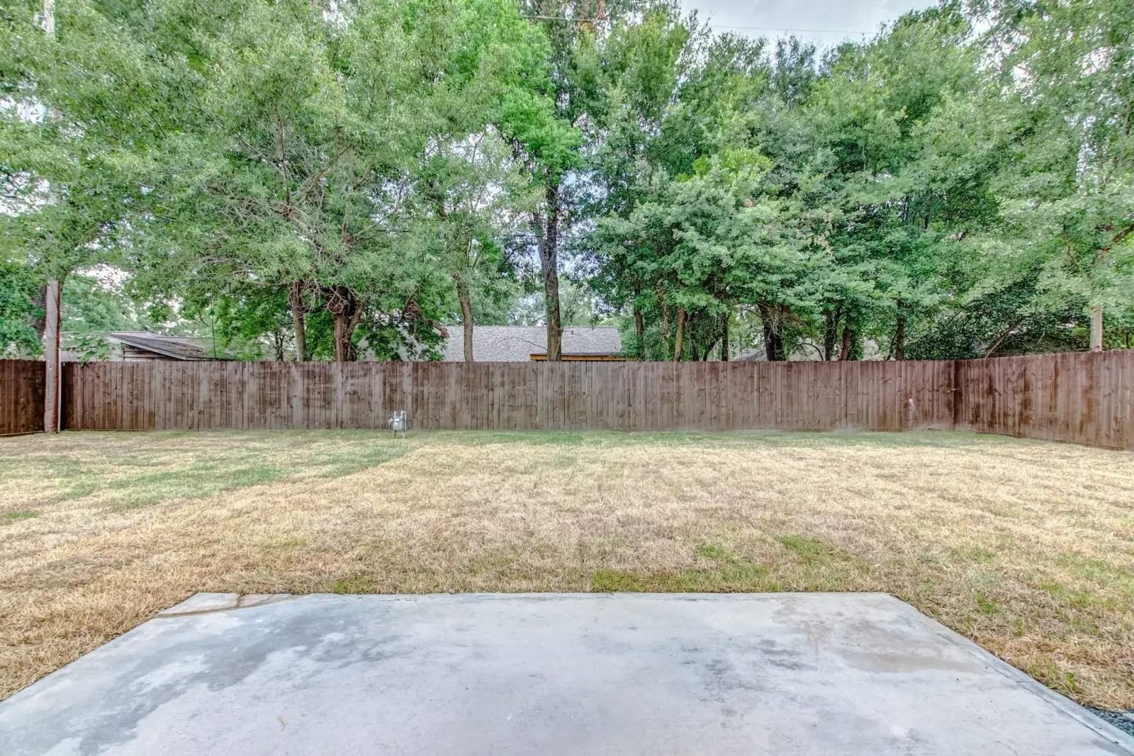 10421 Moorberry, photograph 42