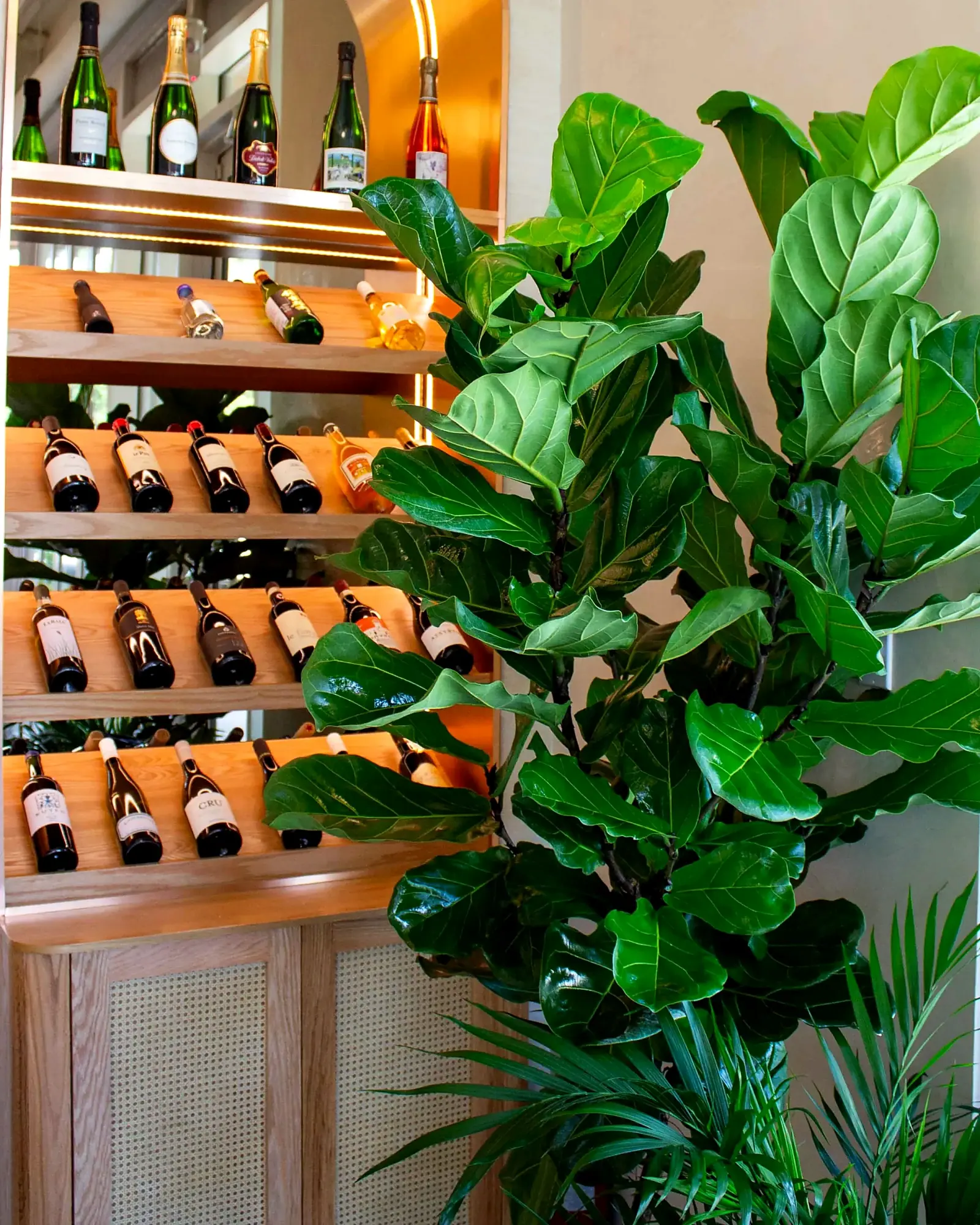 Fiora's Wine Bar, photograph 15